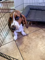 processed/eebfada4-2ffe-4d10-8590-9b7f065f9c6a/listing/63c49bb3-c7b3-49c4-9347-bbca687280de/77f37b5c-eeb7-4555-9349-8046e6de8590