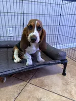 processed/eebfada4-2ffe-4d10-8590-9b7f065f9c6a/listing/63c49bb3-c7b3-49c4-9347-bbca687280de/a01467a4-f1f0-4c34-923e-f9362766116d