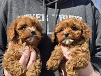 processed/eed1481b-8d3e-4972-adb9-4e7aa16cde78/facility/e6e5a017-f121-43a6-9abe-09d41264d014