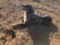 processed/eed38a79-7eca-41f1-bee5-94d01e73e290/facility/40e49de2-907f-4ff4-80c6-e6dbb0827588