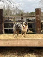 processed/eed38a79-7eca-41f1-bee5-94d01e73e290/facility/59171ccb-596d-4591-9385-a43e7a583ce9