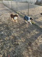 processed/eed38a79-7eca-41f1-bee5-94d01e73e290/facility/8393d13f-50c3-4843-a6d2-636dc29373d8