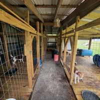 processed/eed4bc49-7266-4434-bbb6-fcb4b18bcbbc/facility/8a71456e-a012-44c6-a199-ac19e911a32a