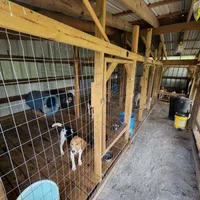 processed/eed4bc49-7266-4434-bbb6-fcb4b18bcbbc/facility/a248ab81-1630-4883-9691-974274195ab6