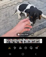 Registered standard male #2, a male Beagle for sale in Jamesville, NC – Photo 2 of 3