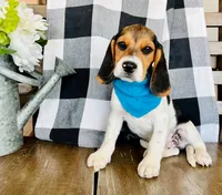 processed/eed4c444-17cc-4e49-addf-bd8b9036d490/listing/506ce527-5878-4d21-99a1-cef7cfc87189/373fab5b-49a2-4aca-8fa2-986822a92a3f