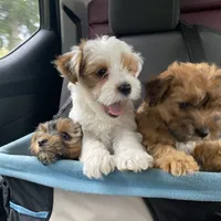 processed/eee1bbe3-a754-467c-bcb4-3c5bdc1a95ae/facility/cb7c97dc-2db4-4ac5-8586-df15aa73809f