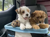 processed/eee1bbe3-a754-467c-bcb4-3c5bdc1a95ae/facility/cb7c97dc-2db4-4ac5-8586-df15aa73809f