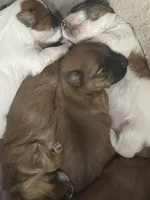 processed/eee1bbe3-a754-467c-bcb4-3c5bdc1a95ae/listing/77eac4f5-6924-4bb5-a38a-a6b2c600ac35/4713f263-853a-46aa-b555-00e9800e68e2