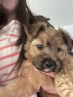 processed/eee1bbe3-a754-467c-bcb4-3c5bdc1a95ae/listing/77eac4f5-6924-4bb5-a38a-a6b2c600ac35/7607f039-45c0-4266-97a4-ccf52ad5943c