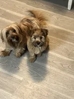 processed/eee1bbe3-a754-467c-bcb4-3c5bdc1a95ae/listing/77eac4f5-6924-4bb5-a38a-a6b2c600ac35/8882c8f9-6b82-4870-9226-566e91e27887