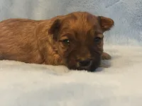 processed/eee1bbe3-a754-467c-bcb4-3c5bdc1a95ae/listing/77eac4f5-6924-4bb5-a38a-a6b2c600ac35/d356bee4-ea8b-400d-8749-e9ae9fd5b9c2