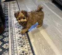 processed/eee1bbe3-a754-467c-bcb4-3c5bdc1a95ae/listing/77eac4f5-6924-4bb5-a38a-a6b2c600ac35/f6867750-9a89-4b50-9310-ad70e0dbeb95