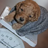 processed/eeeef69c-a97f-4a6a-8de6-efeafa234052/facility/530332ef-f924-469e-a393-e088f908e052