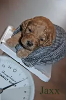 processed/eeeef69c-a97f-4a6a-8de6-efeafa234052/facility/530332ef-f924-469e-a393-e088f908e052