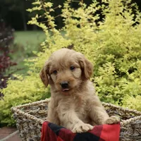 processed/eeeef69c-a97f-4a6a-8de6-efeafa234052/facility/564a73f3-f027-426d-90e9-09c7e2c5683c