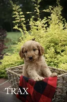 processed/eeeef69c-a97f-4a6a-8de6-efeafa234052/facility/564a73f3-f027-426d-90e9-09c7e2c5683c