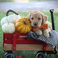 processed/eeeef69c-a97f-4a6a-8de6-efeafa234052/facility/622f11aa-e808-40ce-9854-7848f88f7e06