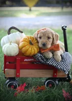 processed/eeeef69c-a97f-4a6a-8de6-efeafa234052/facility/622f11aa-e808-40ce-9854-7848f88f7e06