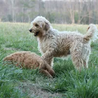 processed/eeeef69c-a97f-4a6a-8de6-efeafa234052/facility/6a6d34c8-73e7-4b29-a745-56bf7fa99ac8