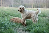 processed/eeeef69c-a97f-4a6a-8de6-efeafa234052/facility/6a6d34c8-73e7-4b29-a745-56bf7fa99ac8