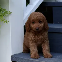 processed/eeeef69c-a97f-4a6a-8de6-efeafa234052/facility/735d754d-d1d3-46f8-8123-66bf396c8311