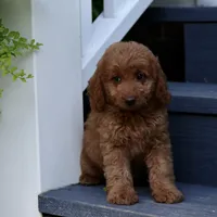 processed/eeeef69c-a97f-4a6a-8de6-efeafa234052/facility/735d754d-d1d3-46f8-8123-66bf396c8311