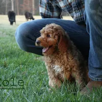 processed/eeeef69c-a97f-4a6a-8de6-efeafa234052/facility/bc005b3d-f047-4dca-9d19-edea52260070