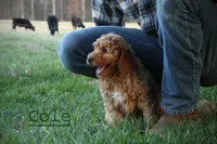 processed/eeeef69c-a97f-4a6a-8de6-efeafa234052/facility/bc005b3d-f047-4dca-9d19-edea52260070