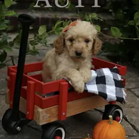 processed/eeeef69c-a97f-4a6a-8de6-efeafa234052/facility/e8d57c1c-7239-42d8-b761-4feb00bfda4e