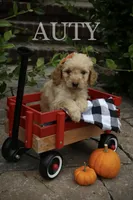 processed/eeeef69c-a97f-4a6a-8de6-efeafa234052/facility/e8d57c1c-7239-42d8-b761-4feb00bfda4e