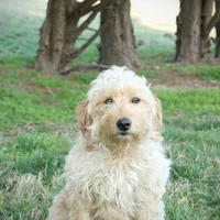 processed/eeeef69c-a97f-4a6a-8de6-efeafa234052/facility/fc925f83-cece-441a-99fb-bd9744c349f6