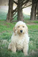 processed/eeeef69c-a97f-4a6a-8de6-efeafa234052/facility/fc925f83-cece-441a-99fb-bd9744c349f6