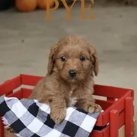 processed/eeeef69c-a97f-4a6a-8de6-efeafa234052/facility/fd84d524-0853-4388-ada1-14dc329cc4f8