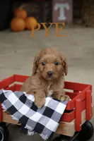 processed/eeeef69c-a97f-4a6a-8de6-efeafa234052/facility/fd84d524-0853-4388-ada1-14dc329cc4f8