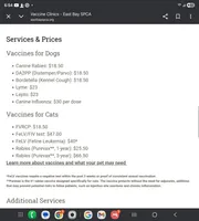Prince Jax $100, a male Yorkshire Terrier for sale in San Ramon, CA – Photo 10 of 10