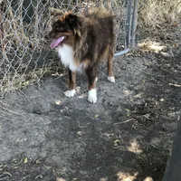 processed/eefe735e-b7d2-4ad1-8eae-d68f54e97d77/facility/2581b493-f61c-4b07-879b-589f87ac48ed