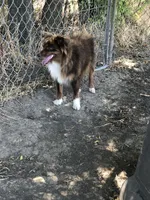 processed/eefe735e-b7d2-4ad1-8eae-d68f54e97d77/facility/2581b493-f61c-4b07-879b-589f87ac48ed