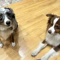 processed/eefe735e-b7d2-4ad1-8eae-d68f54e97d77/facility/3b61d122-9eff-411b-a220-a4a33a3bacf9