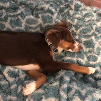 processed/eefe735e-b7d2-4ad1-8eae-d68f54e97d77/facility/70ef1fe6-df6b-429c-ae68-9f06bc182a20