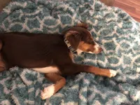 processed/eefe735e-b7d2-4ad1-8eae-d68f54e97d77/facility/70ef1fe6-df6b-429c-ae68-9f06bc182a20