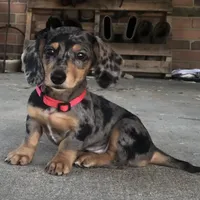 processed/eefe735e-b7d2-4ad1-8eae-d68f54e97d77/facility/809bde52-ad14-445f-b659-e66fdcb7cc21