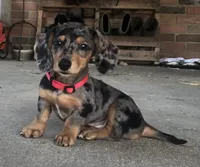 processed/eefe735e-b7d2-4ad1-8eae-d68f54e97d77/facility/809bde52-ad14-445f-b659-e66fdcb7cc21