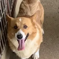 processed/eefe735e-b7d2-4ad1-8eae-d68f54e97d77/facility/ae3e0fd1-6ead-40ad-a722-c4d327444c4c