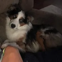 processed/eefe735e-b7d2-4ad1-8eae-d68f54e97d77/facility/b4497c24-6627-4fbb-8cb9-d8597c0c3ec0