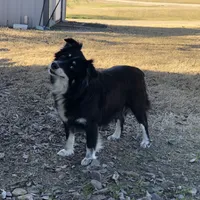 processed/eefe735e-b7d2-4ad1-8eae-d68f54e97d77/facility/ba12b3c2-1683-4937-9de9-9d2b3d540e58