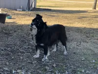 processed/eefe735e-b7d2-4ad1-8eae-d68f54e97d77/facility/ba12b3c2-1683-4937-9de9-9d2b3d540e58