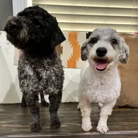 processed/eefe735e-b7d2-4ad1-8eae-d68f54e97d77/facility/fb3b095b-f379-4bb9-856d-c8d2c635640e