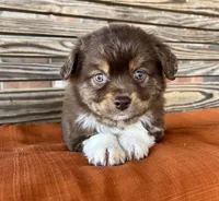 processed/eefe735e-b7d2-4ad1-8eae-d68f54e97d77/listing/49e5a876-ba22-43c6-81d6-78a63317b422/57f6b365-614b-4c66-b9f6-7645c4e6e26b