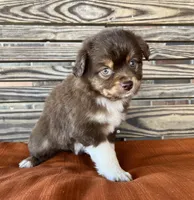 processed/eefe735e-b7d2-4ad1-8eae-d68f54e97d77/listing/49e5a876-ba22-43c6-81d6-78a63317b422/6ba8859e-92fc-4b7c-8627-e4ea1d613753